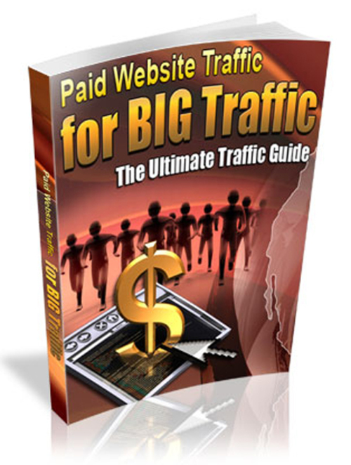 Product picture Paid Website Traffic For Big Traffic 