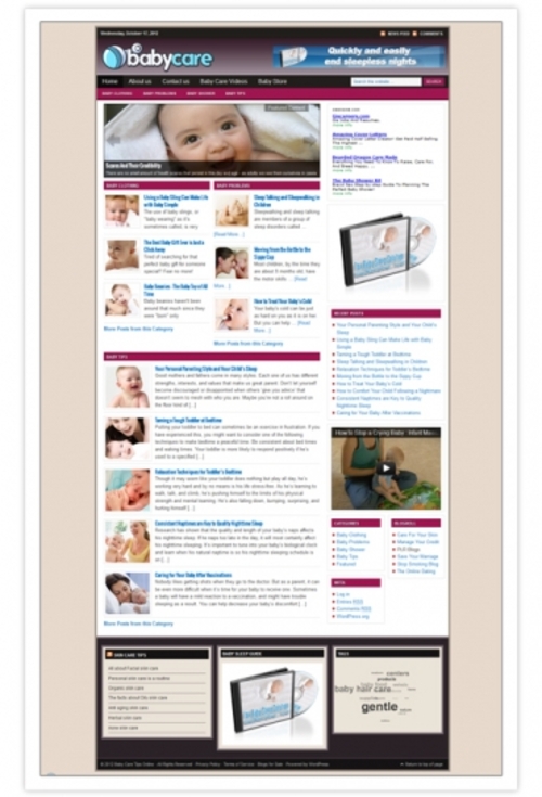 Product picture Baby Care Blog with Private Label Rights (PLR)